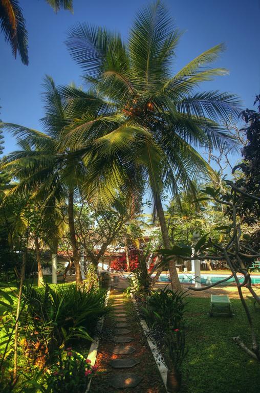 Ypsylon Tourist Resort Beruwala Buitenkant foto