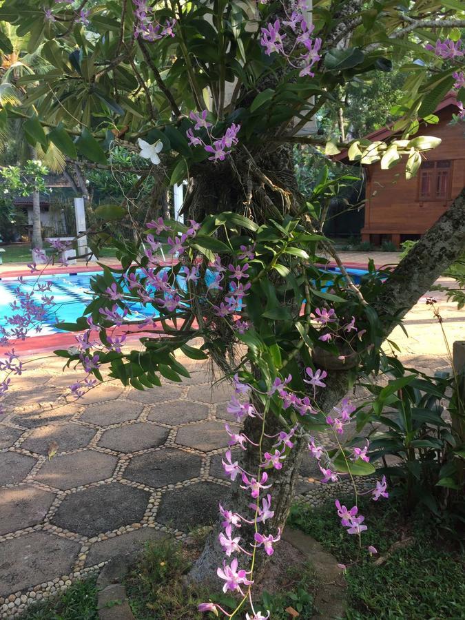 Ypsylon Tourist Resort Beruwala Buitenkant foto