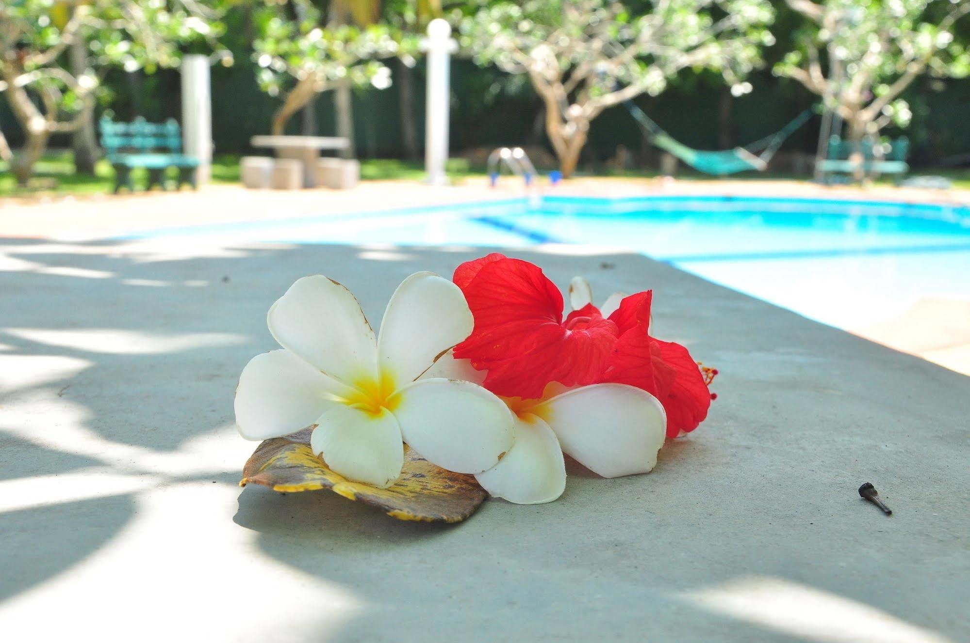 Ypsylon Tourist Resort Beruwala Buitenkant foto
